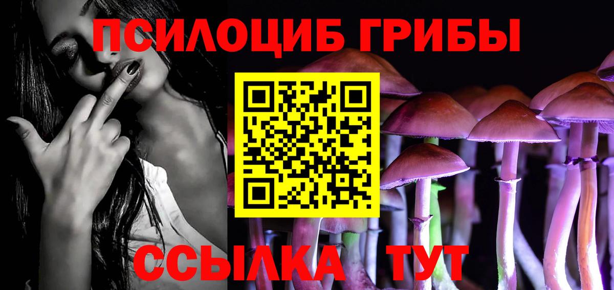 Печора  наркота  Вход с VPN  Псилоцибиновые грибы Psilocybine cubensis 